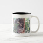 Koala Photo Coffee Mug