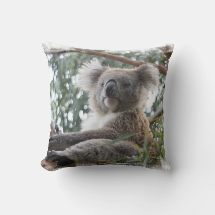 Koala Pillow | Zazzle