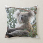 Koala Pillow