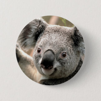 Koala Pinback Button