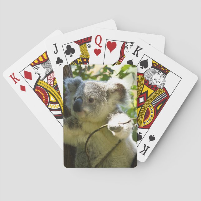 koala poker cards (Back)