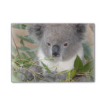Koala Post-it Notes