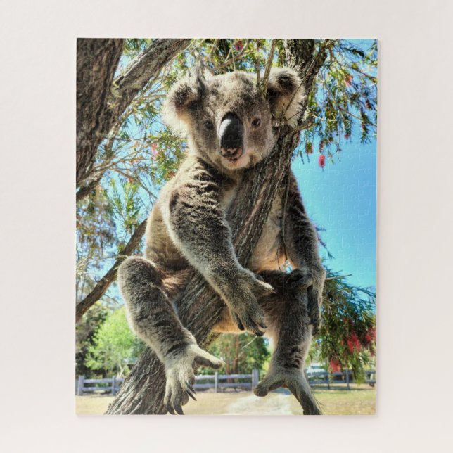 Koala Puzzle (Vertical)