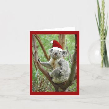 Koala Santa Christmas Card by Regella at Zazzle