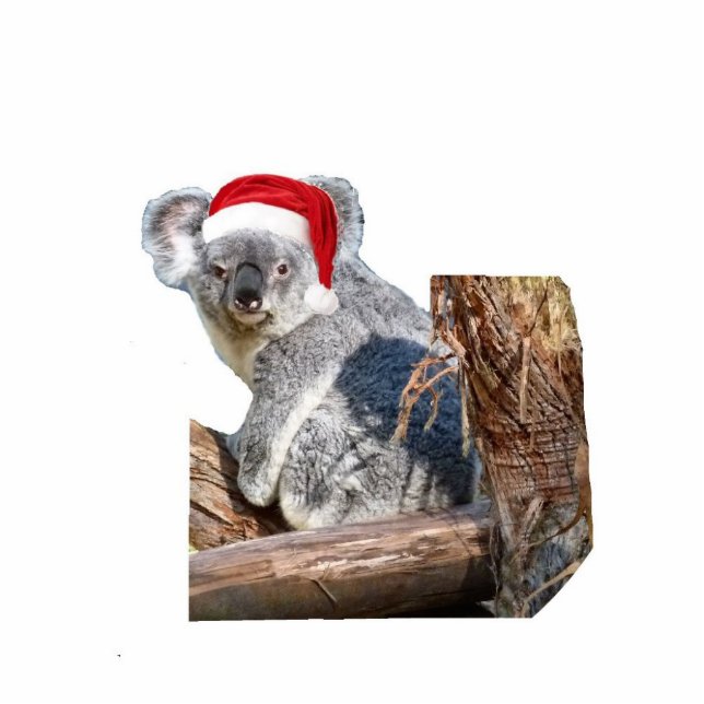 Koala Santa Cutout (Front)