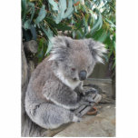 Koala Sculpture<br><div class="desc">Koalas are great in pictures but even better when it is a sculpture</div>