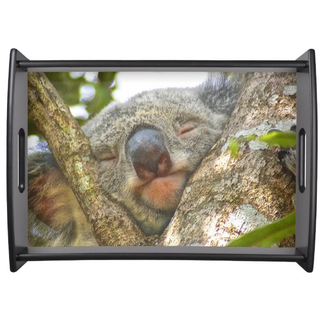 Koala Serving Tray (Front)