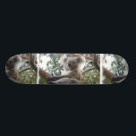 Koala Skateboard<br><div class="desc">Sweet faced koala bear in a eucalyptus tree.</div>