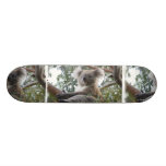 Koala Skateboard