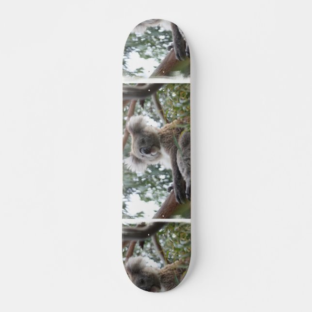 Koala Skateboard Deck (Front)