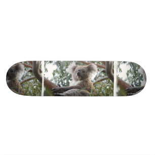 Koala Skateboard Deck