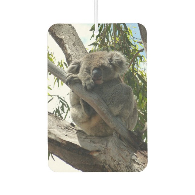 Koala - Sleeping  Air Freshener (Front)