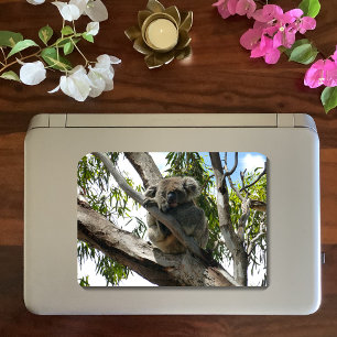 Koala - Sleeping Classic Round Sticker