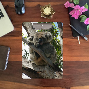 Koala - Sleeping Clipboard