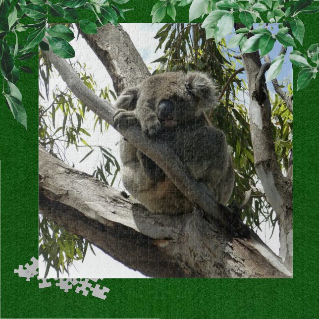 Koala - Sleeping  Jigsaw Puzzle (Creator Uploaded)