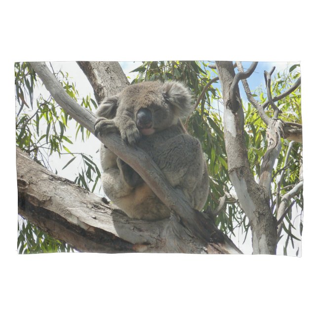Koala - Sleeping  Pillow Case (Front)