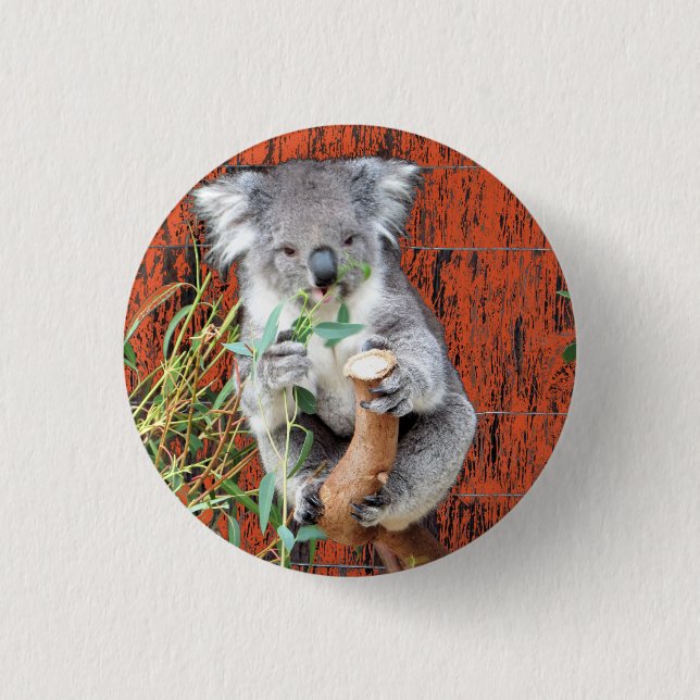 Koala Snack Time Badge Button (Front)