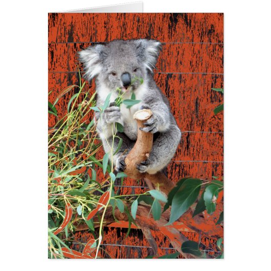 Koala Snack Time Cards (Front)