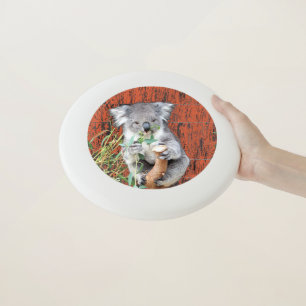 Koala Snack Time Frisbee
