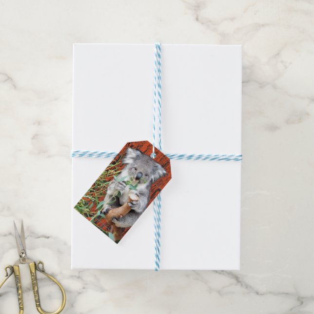 Koala Snack Time Gift Tag (With Twine)