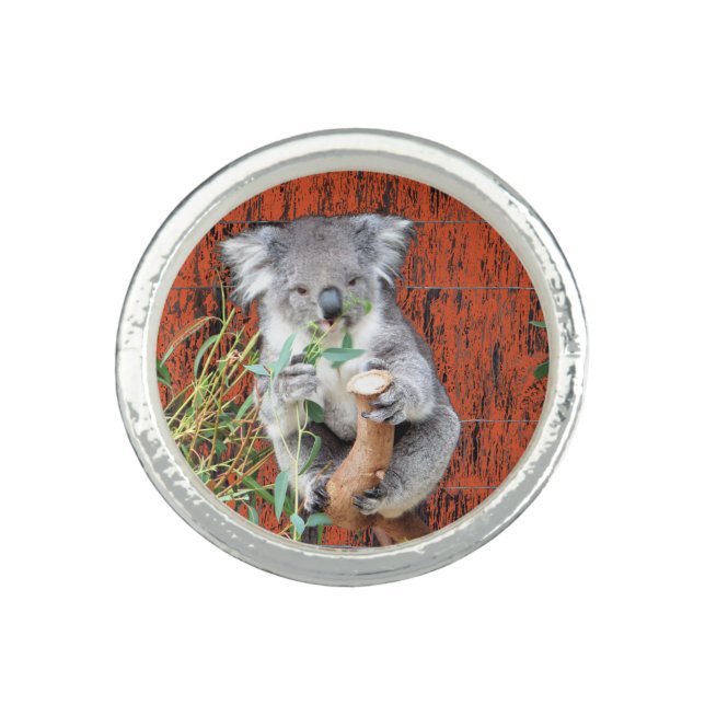 Koala Snack Time Ring (Front)