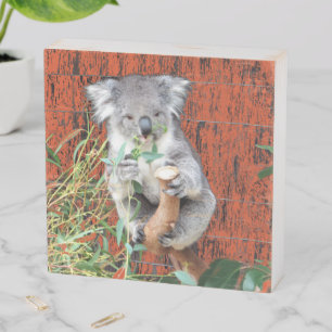 Koala Snack Time Wooden Box Art