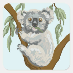 Koala Square Sticker