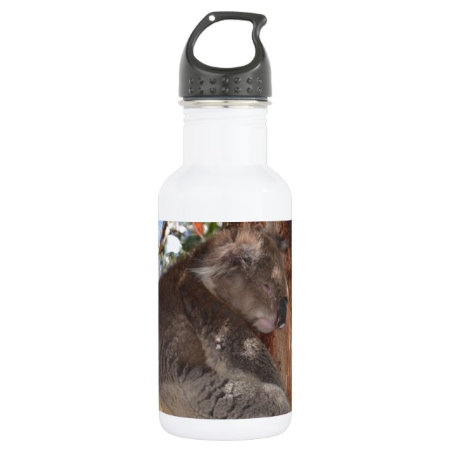 Koala Stainless Steel Water Bottle (Front)
