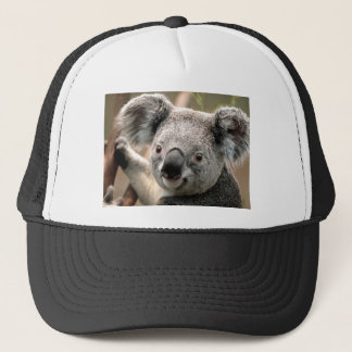 Koala Trucker Hat