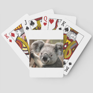 koala un animal unico poker cards
