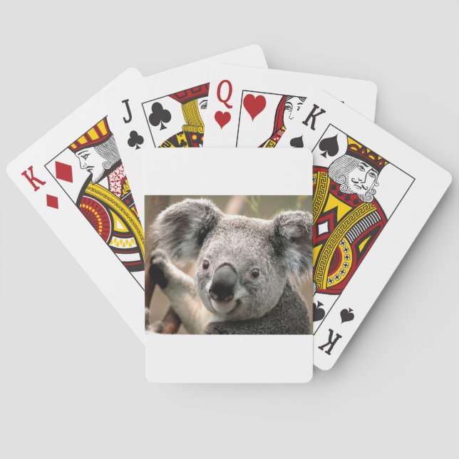 koala un animal unico poker cards (Back)