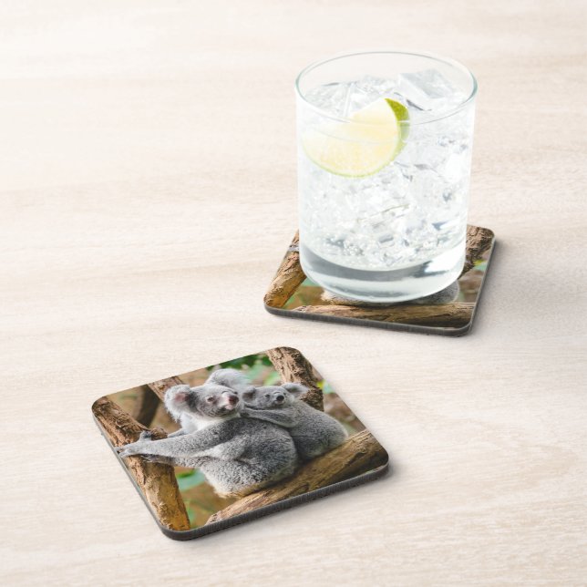 Koala with Baby in a Tree in Australia Beverage Coaster (Right Side)