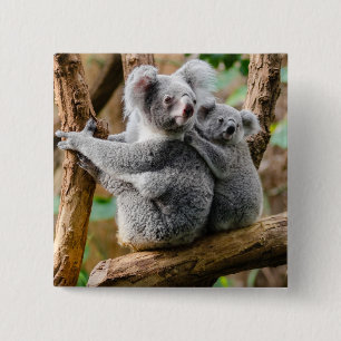 Koala with Baby in a Tree in Australia Button