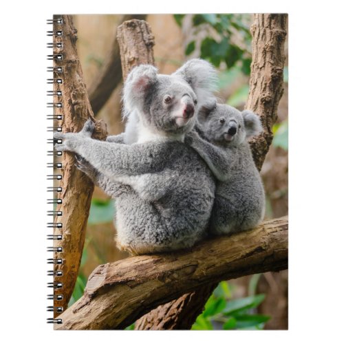 Koala with Baby in a Tree in Australia Notebook
