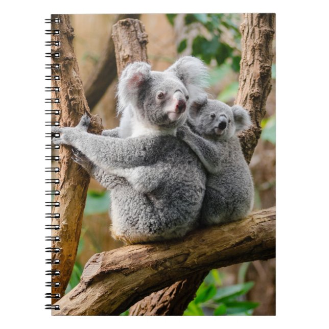 Koala with Baby in a Tree in Australia Notebook (Front)