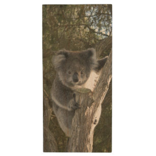 Koala Wood USB Flash Drive