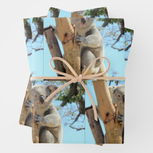 Koala _ Wrapping Paper Sheets