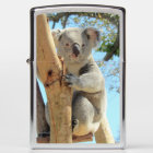 Koala Zippo Lighter