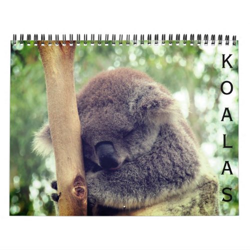 koalas 2025 calendar