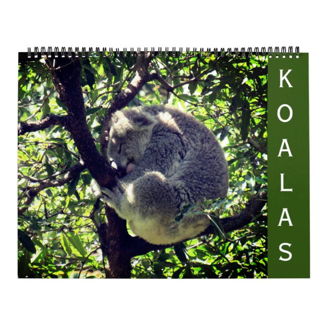 koalas 2026 large calendar (Cover)