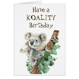 Koality Birthday  Fun Animal  Koala Bear Cards
