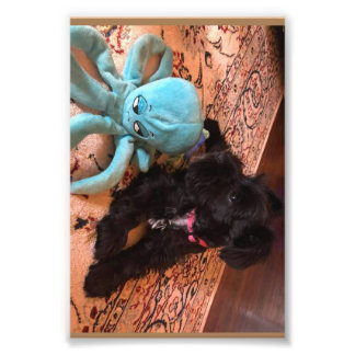 Kodak Professional Photo Paper (Satin)