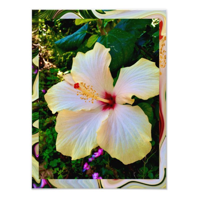 Kodak Professional Photo Paper (Satin) Photo Enlar Print (Front)