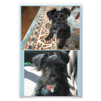 Kodak Professional Photo Paper (Satin) Print