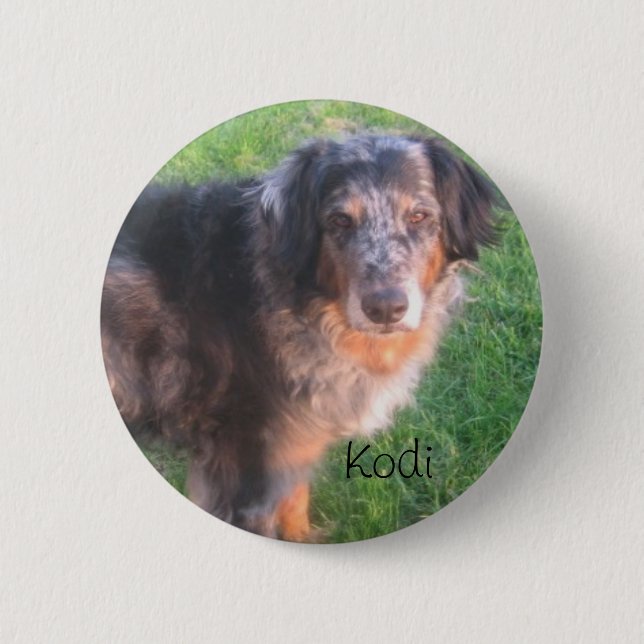 Kodi Dog Button (Front)