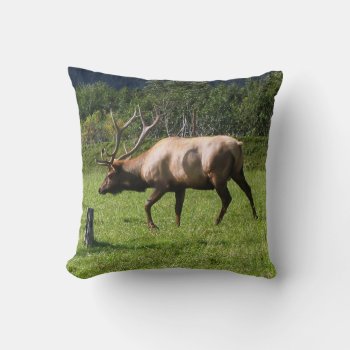 Kodiak  Alaska Elk Outdoor Photo Designed Fancy Throw Pillow by ScrdBlueCollectibles at Zazzle