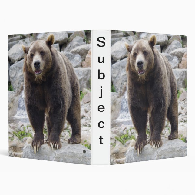 Kodiak bear 3 ring binder (Background)