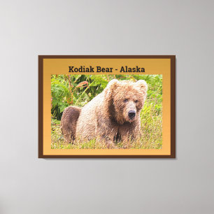 Kodiak Bear - Alaska Canvas Print