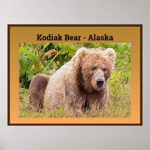 Kodiak Bear _ Alaska Poster