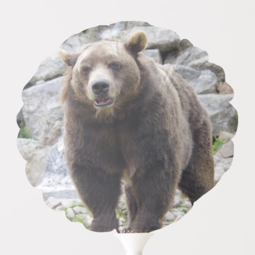 Kodiak Bear Balloon